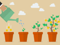 How to Keep Your Startup Business Growing in 2017